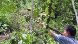 Bắn chết bạn săn vì tưởng thú rừng