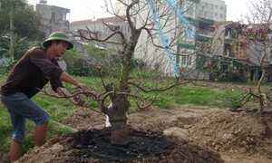 Những dịch vụ dễ kiếm tiền sau Tết