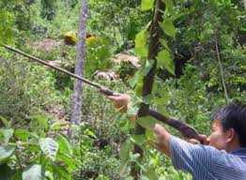 Sơn La: Đi săn, vô ý bắn chết bạn