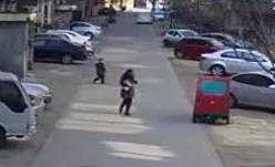 Clip: Một phụ nữ đem ôtô đi trộm chó