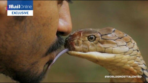 Đứng tim xem con trai 'Vua rắn' hôn rắn hổ mang cực độc