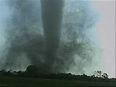 Clip: Lốc xoáy cuốn phăng 36 mái nhà ở Bình Phước