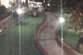 Thực hư chuyện 'bóng ma' Walt Disney dạo chơi ở công viên