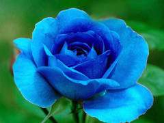 Màu nào mang lại may mắn, tài lộc cho người mệnh Thủy