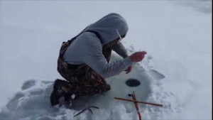 Người quay phim 'sốc' khi câu được con vật này