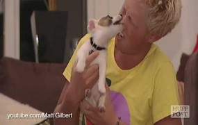 Chết cười những pha chó tấn công người