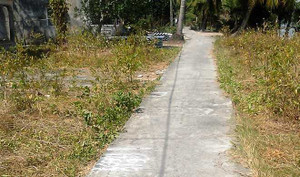 Cụ bà ngã xe khi cháu trai chạy trốn cảnh sát đã tử vong