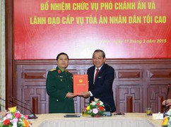 Bổ nhiệm Phó Chánh án Tòa án nhân dân tối cao