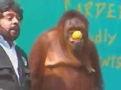 Cười nghiêng ngả với màn ảo thuật hài hước của tinh tinh