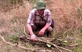 Người đưa thảo dược ‘trường sinh’ từ núi cao Tây Tạng về Việt Nam