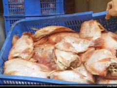 Vụ chở thịt thối cho trẻ ăn: Cục trưởng An toàn thực phẩm không tin nổi