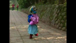 Cười vỡ bụng xem chó mặc quần áo, đi 2 chân như người