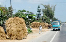Buôn rơm rạ kiếm ra bạc triệu ở Quảng Ngãi