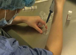 Từ 15/3 cho phép mang thai hộ