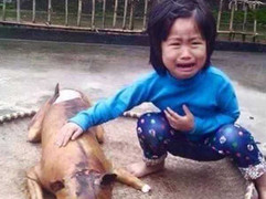 Tranh luận nảy lửa quanh bức ảnh 'em bé khóc bên chú chó bị thui '