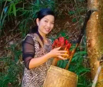 Cô giáo xinh đẹp và cây cỏ thần kỳ giữ tuổi thanh xuân cho phụ nữ