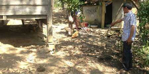 Đắk Nông: Anh hoang tưởng sát hại em trai