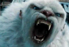 Giải mã bí ẩn quái vật người tuyết 'Yeti' Himalaya