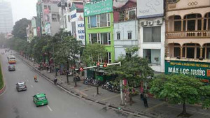 Chặt 6.700 cây xanh: Ông Trần Đăng Tuấn viết thư ngỏ, lãnh đạo Hà Nội phản bác