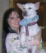 Số phận chú chó Miracle: từ suýt chết đến thắng giải thưởng 1.500 bảng Anh