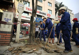 Chủ tịch Hà Nội: Không có chuyện 'đấu đá chặt hạ cây để kiếm chác'