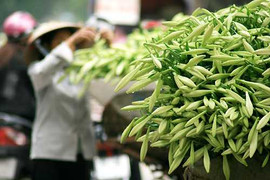 Bắc Bộ kết thúc đợt nắng nóng, sắp đón không khí lạnh mới