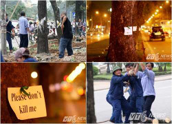 Dân Thủ đô đau xót tìm cách níu giữ hàng nghìn cây xanh