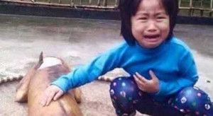 Điều chưa biết sau bức ảnh 'em bé khóc bên chú chó bị thui vàng'