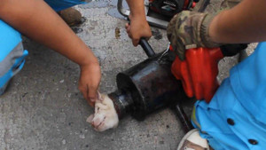 Hồi hộp xem giải cứu cún con mắc kẹt trong ống kim loại