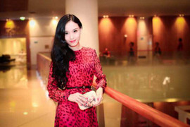 Những đại gia Việt từng dính quả lừa cay đắng