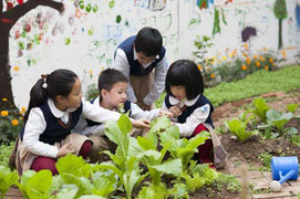 Học bổng 25 triệu đồng cho học sinh tiểu học