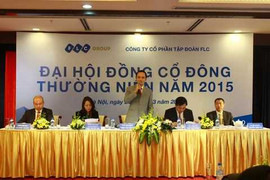FLC thông qua kế hoạch lợi nhuận 1.158 tỷ đồng năm 2015