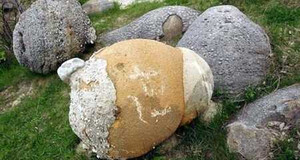 Video: Bí ẩn những hòn đá biết 'đẻ con'
