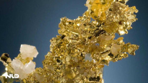 Video: Khai thác vàng từ phân người