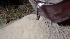 Tròn mắt xem những 'kiến trúc sư' kiến xây nhà