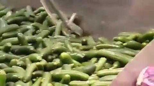 Kinh hãi rắn nấp trong khoang để dưa chuột ở siêu thị