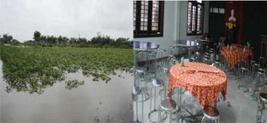 Cán bộ nhậu khi dân cuống cuồng chạy lũ: Lãnh đạo tỉnh nói gì?