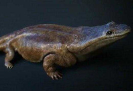 Phát hiện loài kỳ nhông khổng lồ to bằng ôtô