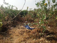 Thấy thi thể người đàn ông trong bụi cây sau 2 ngày mất tích