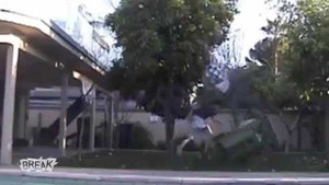 Những trò đùa quái ác Ngày Cá tháng 4