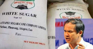 Chính sách nhập khẩu đường bị tố 'phục vụ lợi ích nhóm': Chính phủ nói gì?