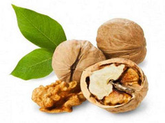 Quả óc chó - 'tiên dược' cho sức khỏe