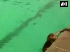 Khỉ nhảy xuống nước bơi như người