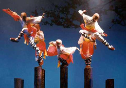 5 sự thật không phải ai cũng biết về võ thuật