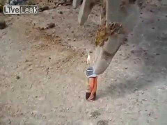 Tròn mắt xem công nhân dùng máy xúc bật lửa