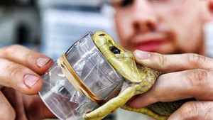 Những nghề nguy hiểm nhất thế giới