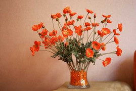 Những vật tuyệt đối không nên bày trên bàn làm việc