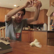 Màn ảo thuật đập trứng ra gà khiến người xem không tin nổi mắt mình