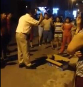 Chó Pit bull cắn chó Labrador tới chết: Hai bố con đánh người phải chịu mức phạt nào?