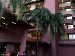 Rơi từ tầng 7, bé 4 tuổi sống sót may mắn